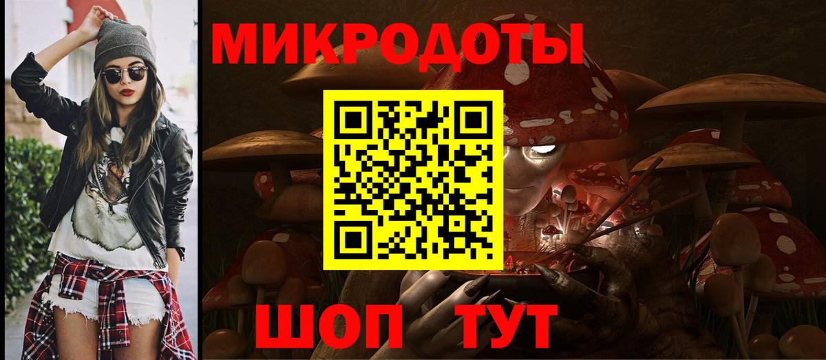 Псилоцибиновые грибы Psilocybe Печора