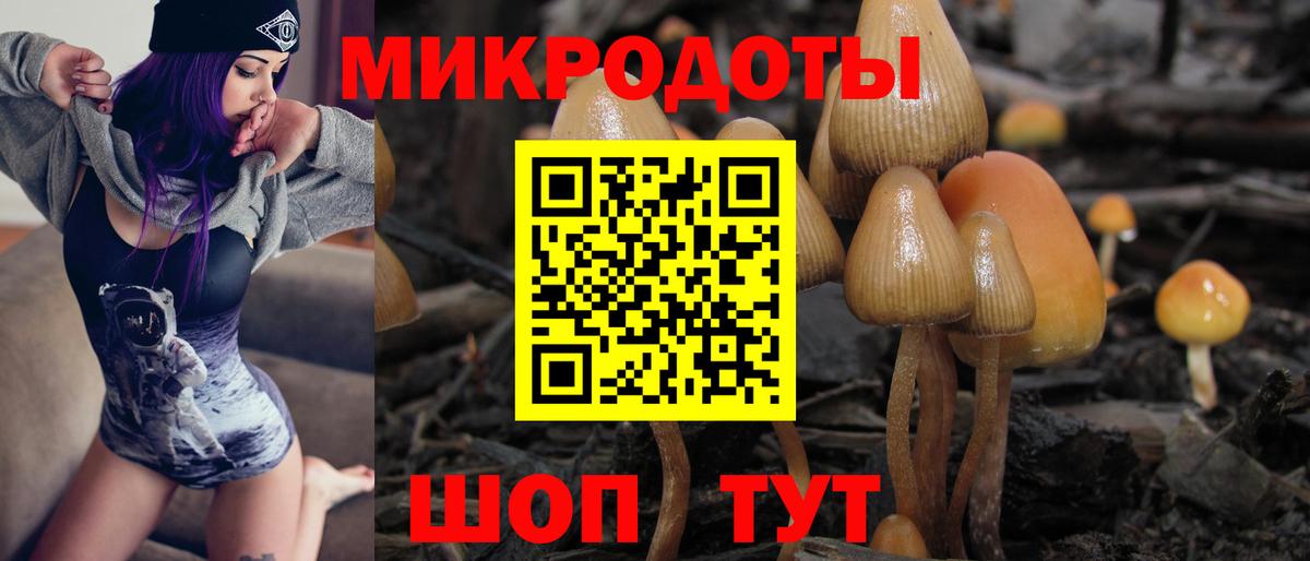 Печора  Псилоцибиновые грибы мухоморы  хочу   Вход с VPN 